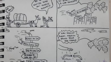 Mehmet Akif Güneş çizdi: Rastgele Üniversite